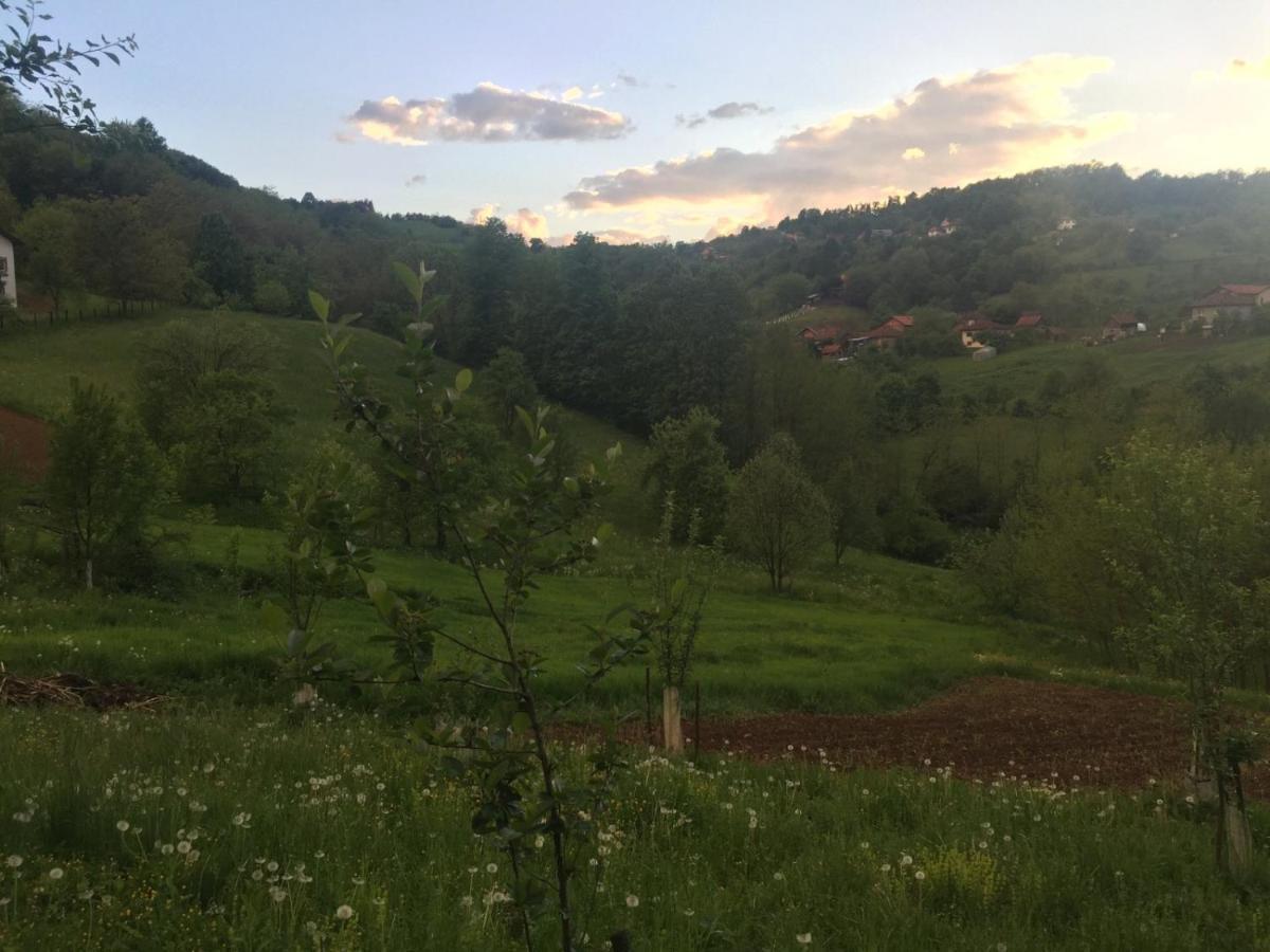 Dolores Tesanj Kültér fotó