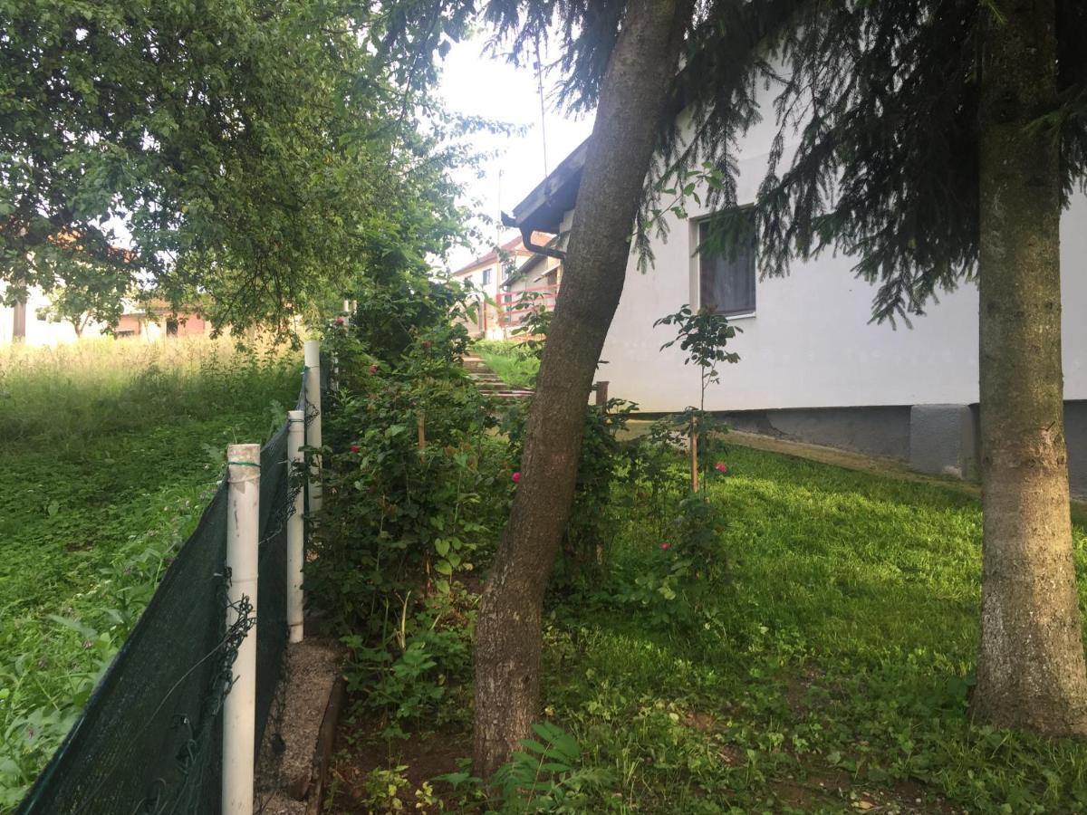 Dolores Tesanj Kültér fotó