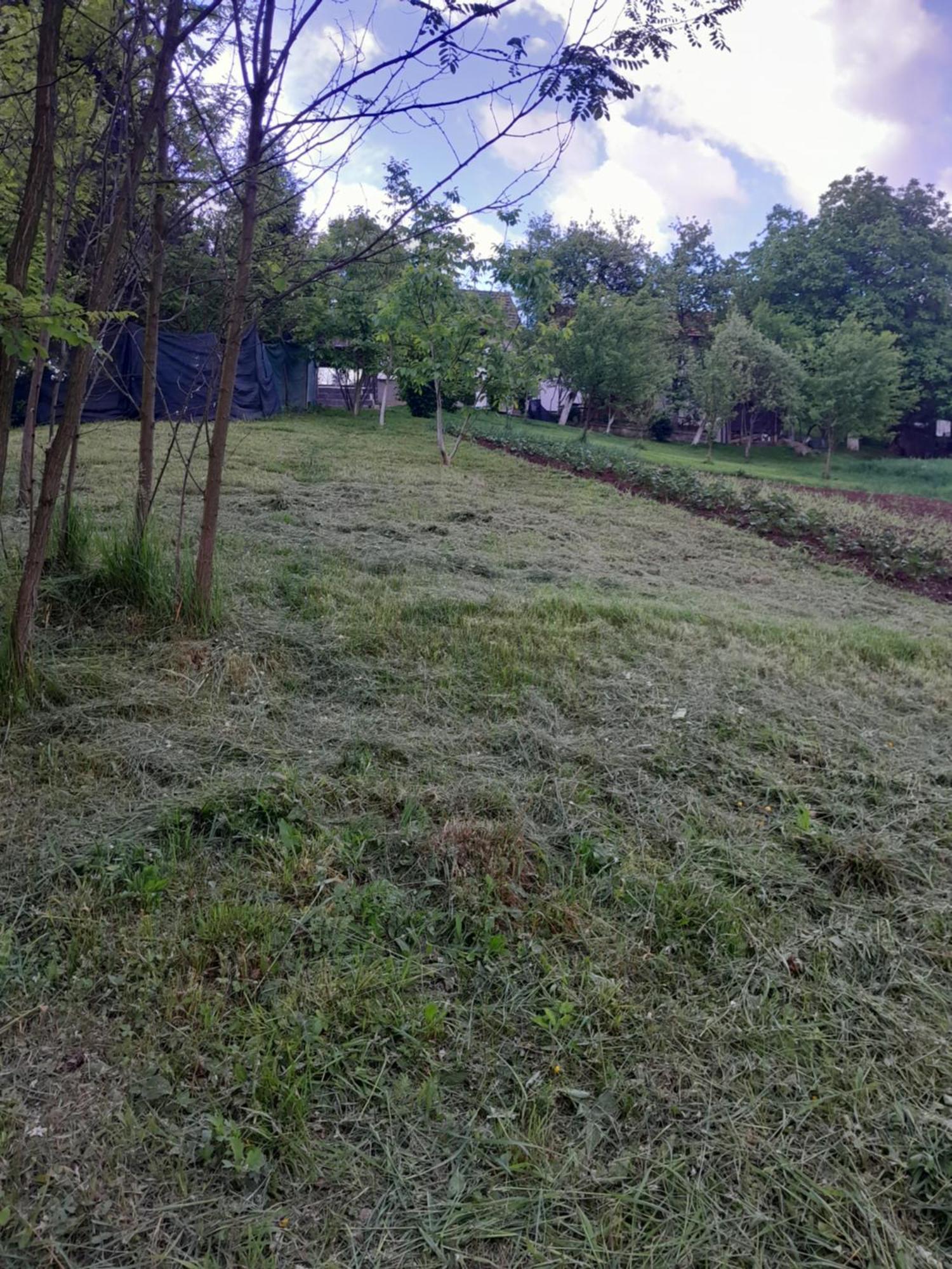Dolores Tesanj Kültér fotó