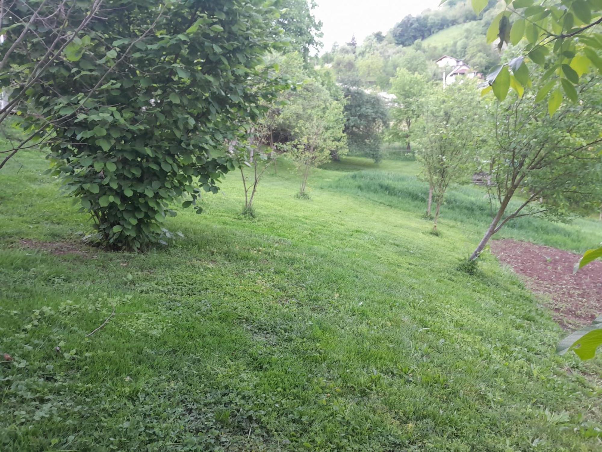 Dolores Tesanj Kültér fotó